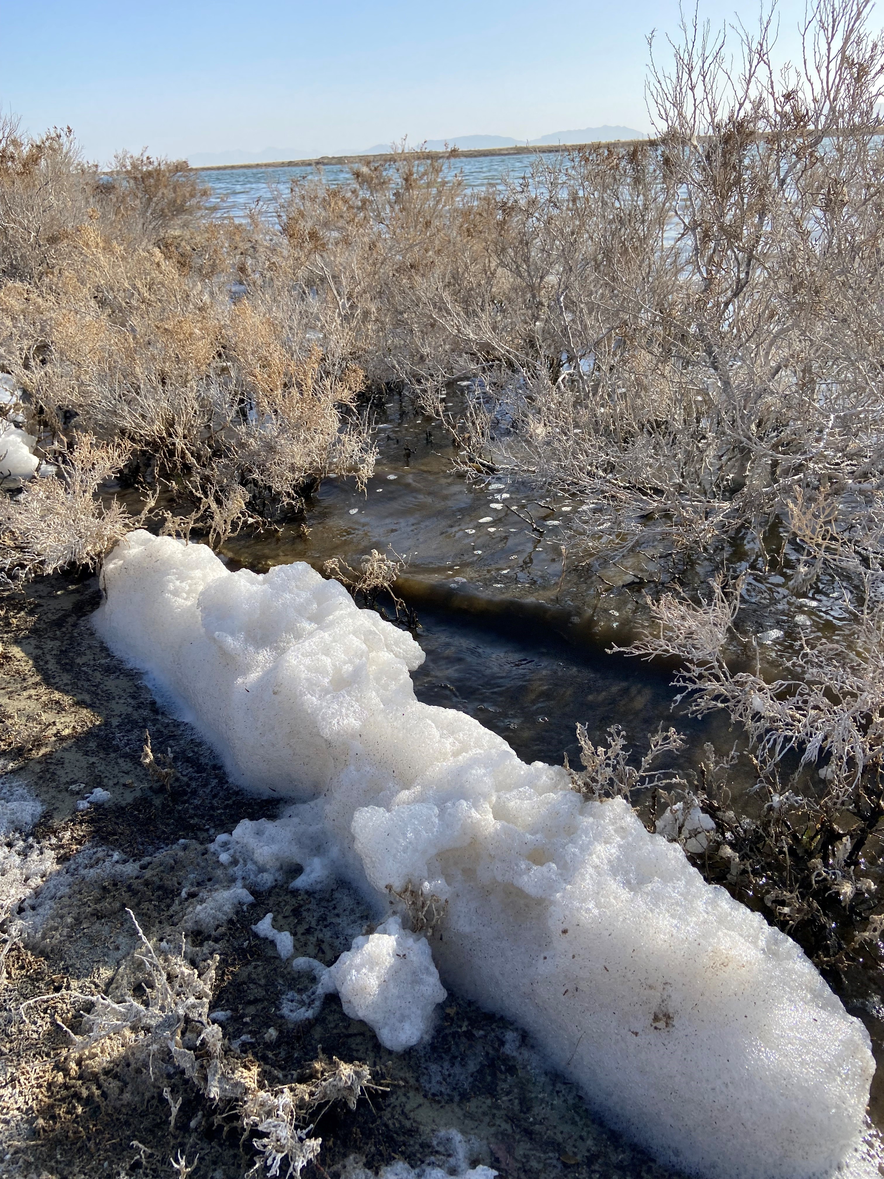foam_at_water_edge