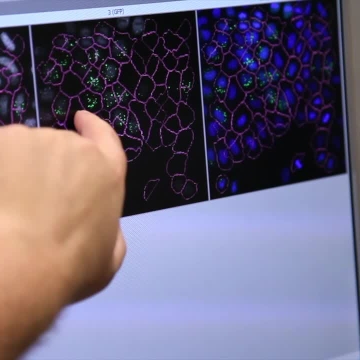 Fighting Disease With Pac-Man Fighting Disease With Pac-Man