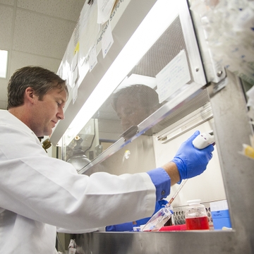 UNM researchers work to better understand Zika virus