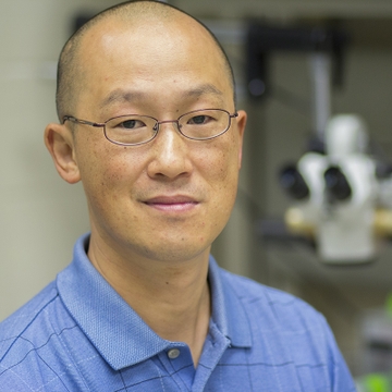 Nanoparticles transforming medication delivery