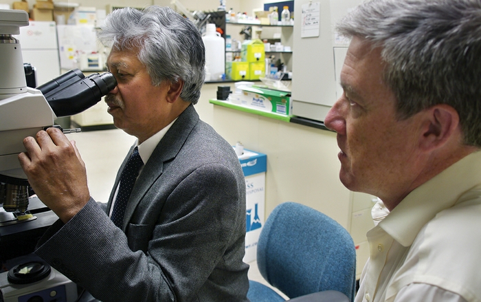 HSC researchers focused on retinal disease