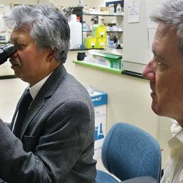 HSC researchers focused on retinal disease