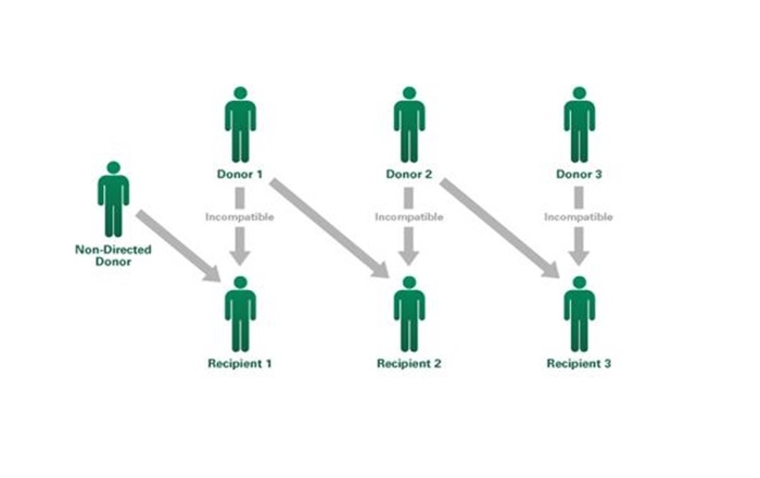 donor chart