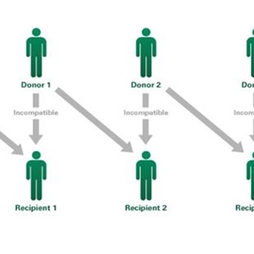 The Altruistic Donor