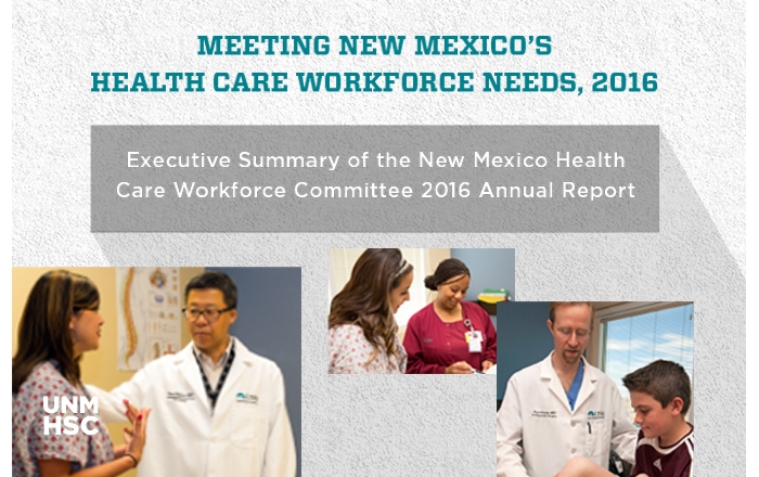 Executive Health Care Workforce Summary