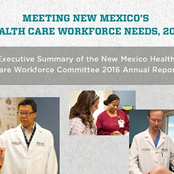 Executive Health Care Workforce Summary