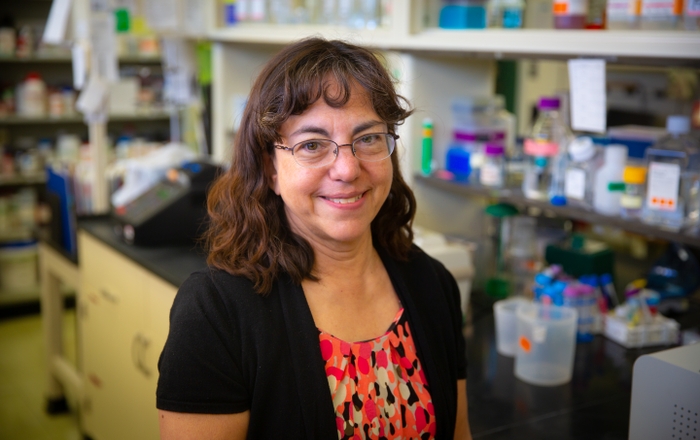 Nora Perrone-Bizzozero, PhD