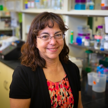 Tracing the Circuits of Addiction