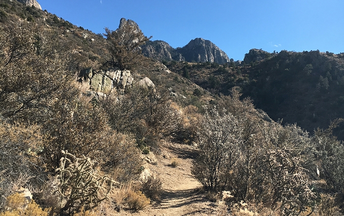 Five Essential Hiking Items to Help You Escape a Bind