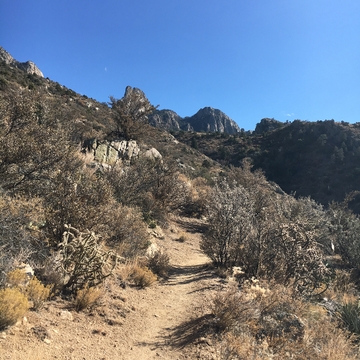 Five Essential Hiking Items to Help You Escape a Bind
