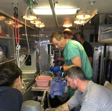 Mobile Lifeline
