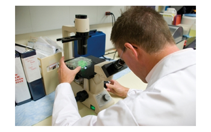 Cancer Research