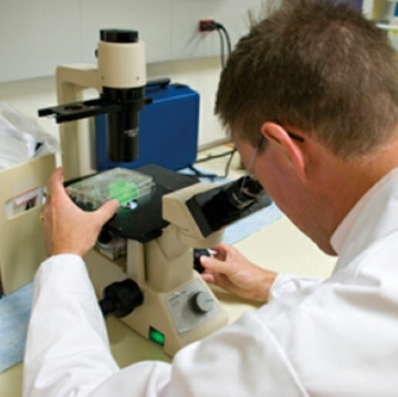 A Fat-Fighting Drug Discovery