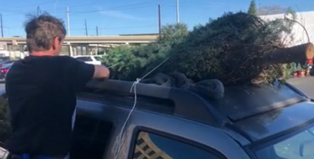 Christmas Tree Hauling Safety