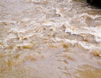 Flood
