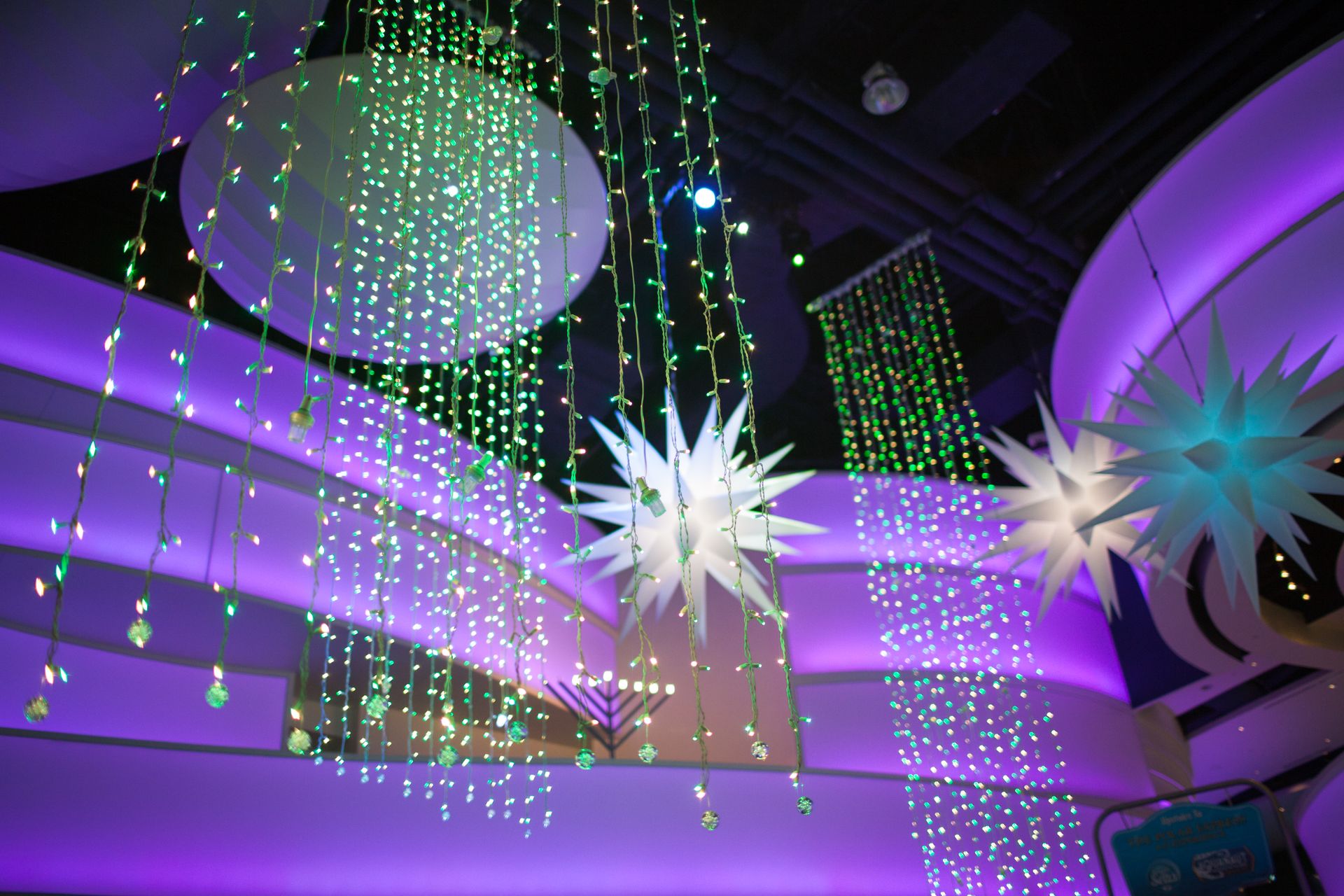 Celebrate the Holidays Under the Sea at Aquarium Aquarium