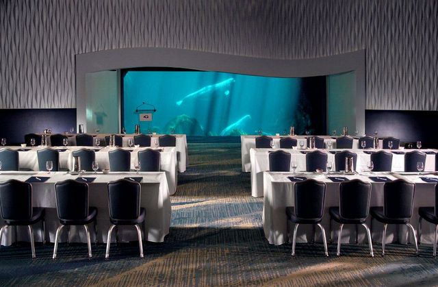 Wedding + Special Events | Georgia Aquarium