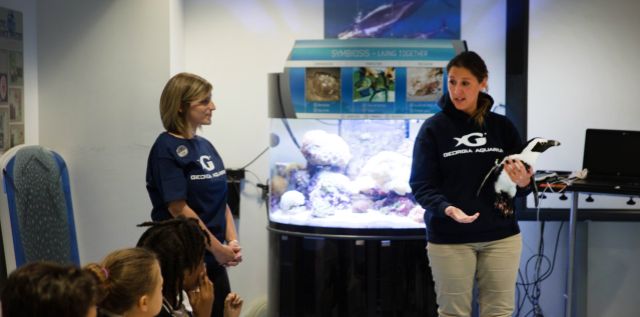 Penguin Pops in to Surprise Aquarium Class Penguin Pops in to Surprise Aquarium Class