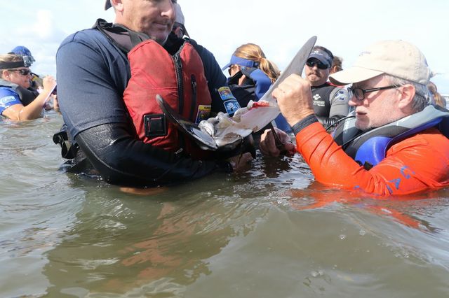 Activities and photographs taken under the authorization of NOAA Fisheries Dolphin Disentanglement Jan. 2017 (5)