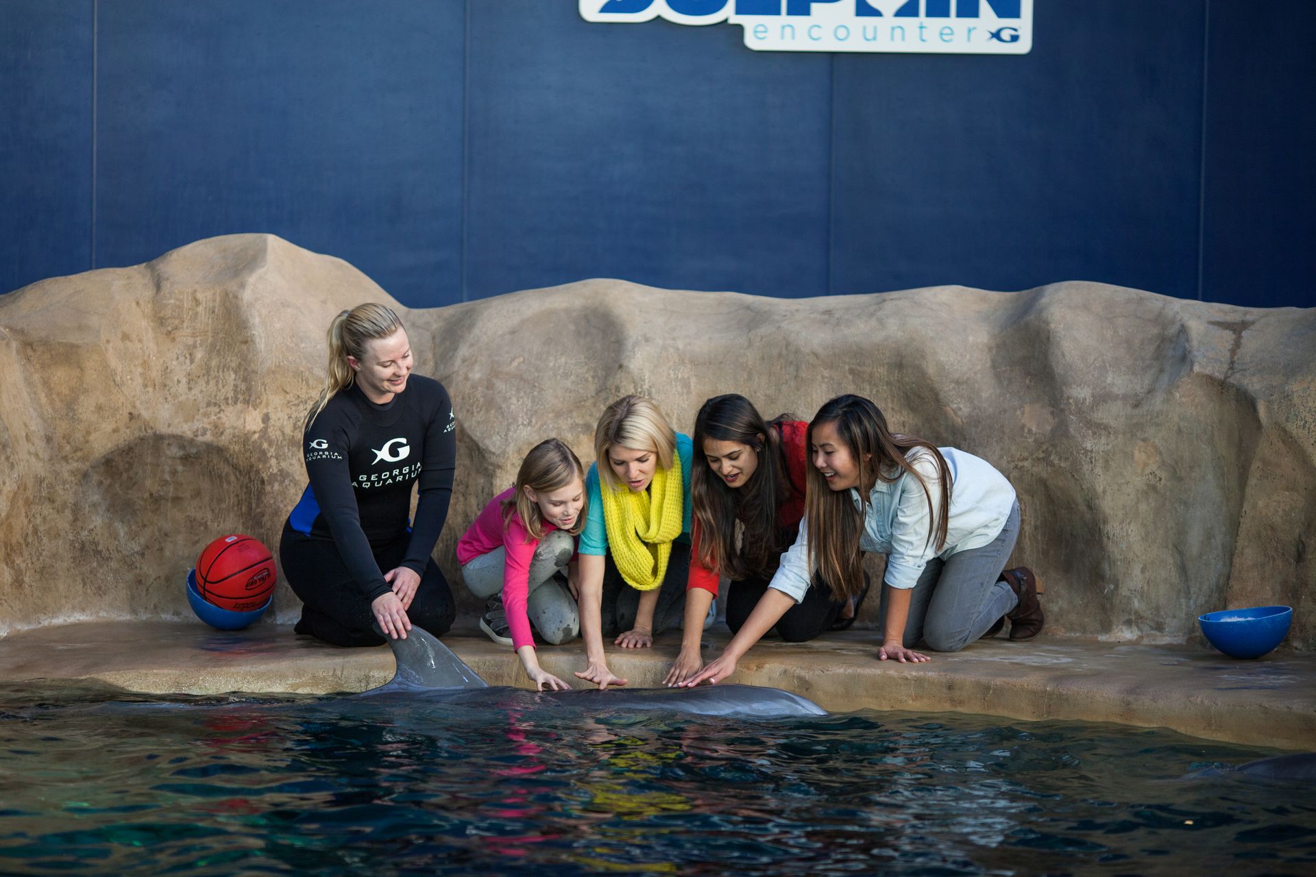 From a Passion to a Profession My Life as a Dolphin Trainer