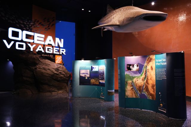 Georgia Aquarium Hosts New Traveling EcoOcean Exhibit Georgia Aquarium Hosts New Traveling EcoOcean Exhibit