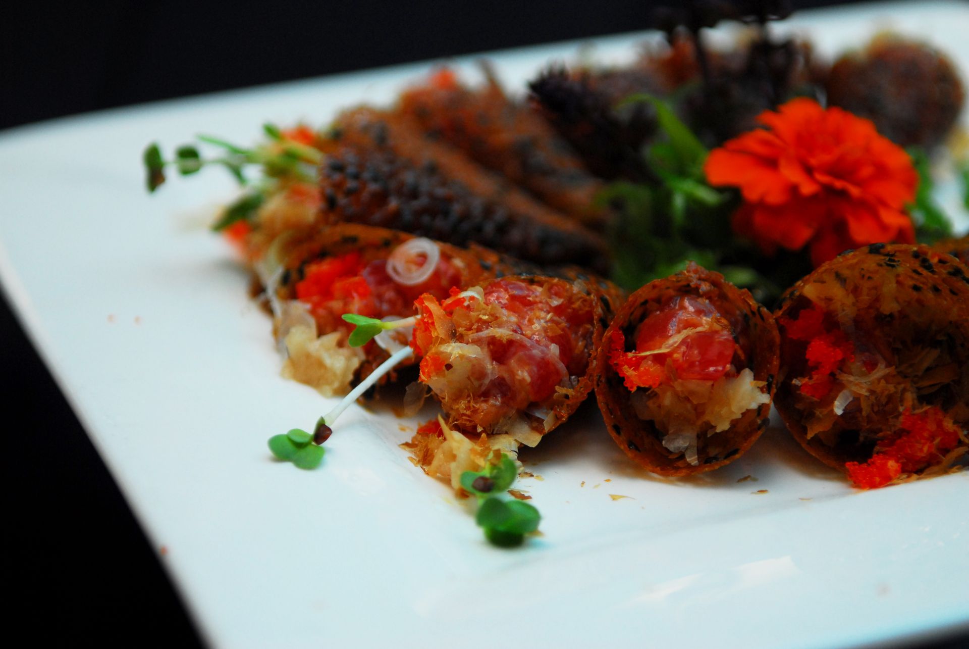 2018 Taste of the Championship to be held at Aquarium