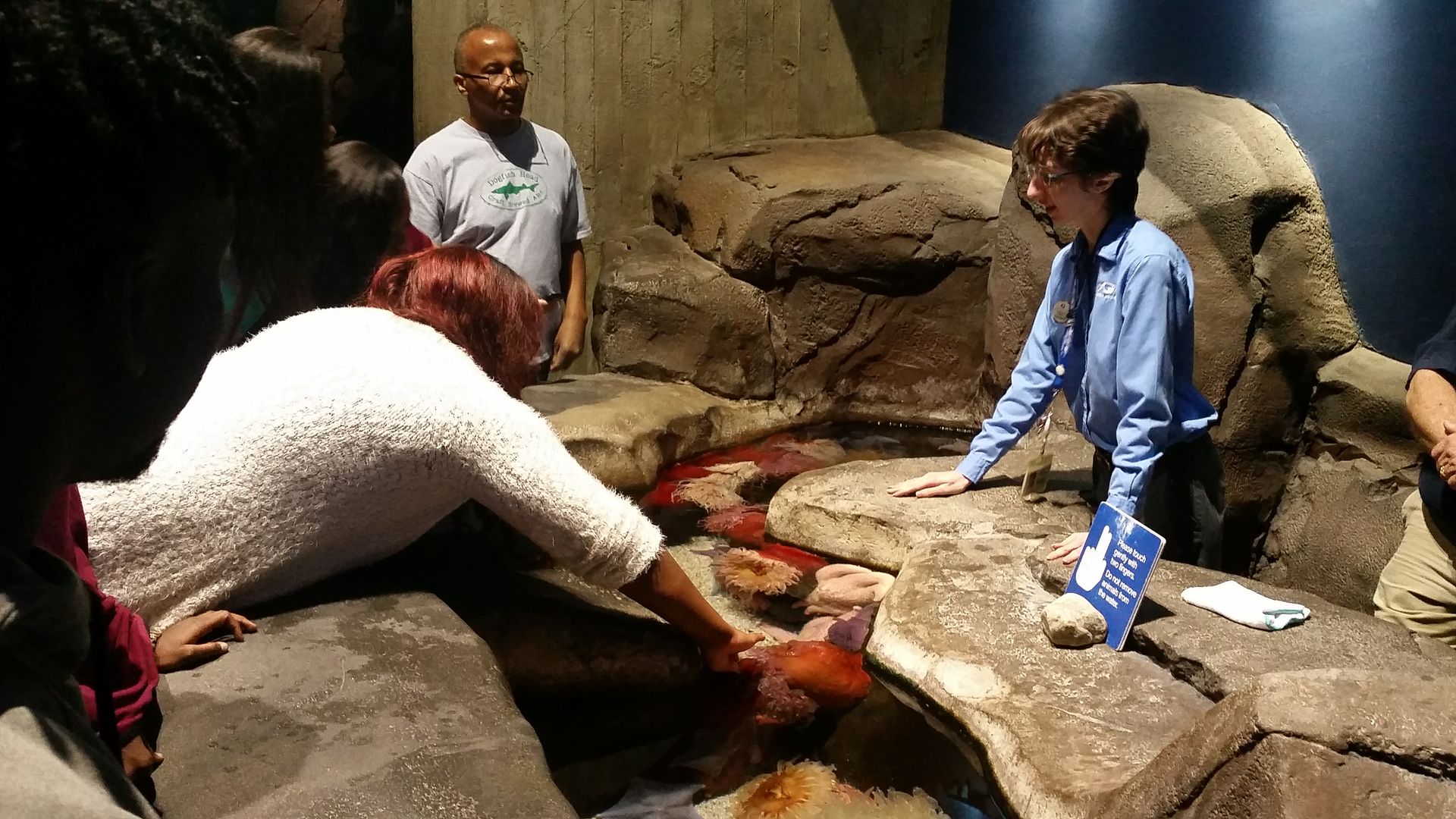 Celebrating National Volunteer Week! Aquarium