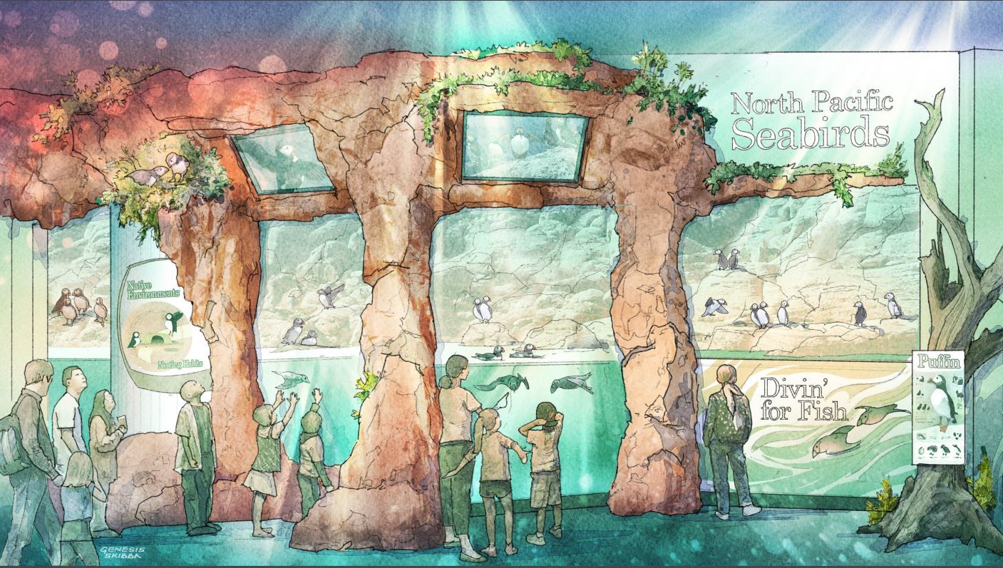 Georgia Aquarium Puffin and Seabird Exhibit Rendering Puffin and Seabird Exhibit Rendering