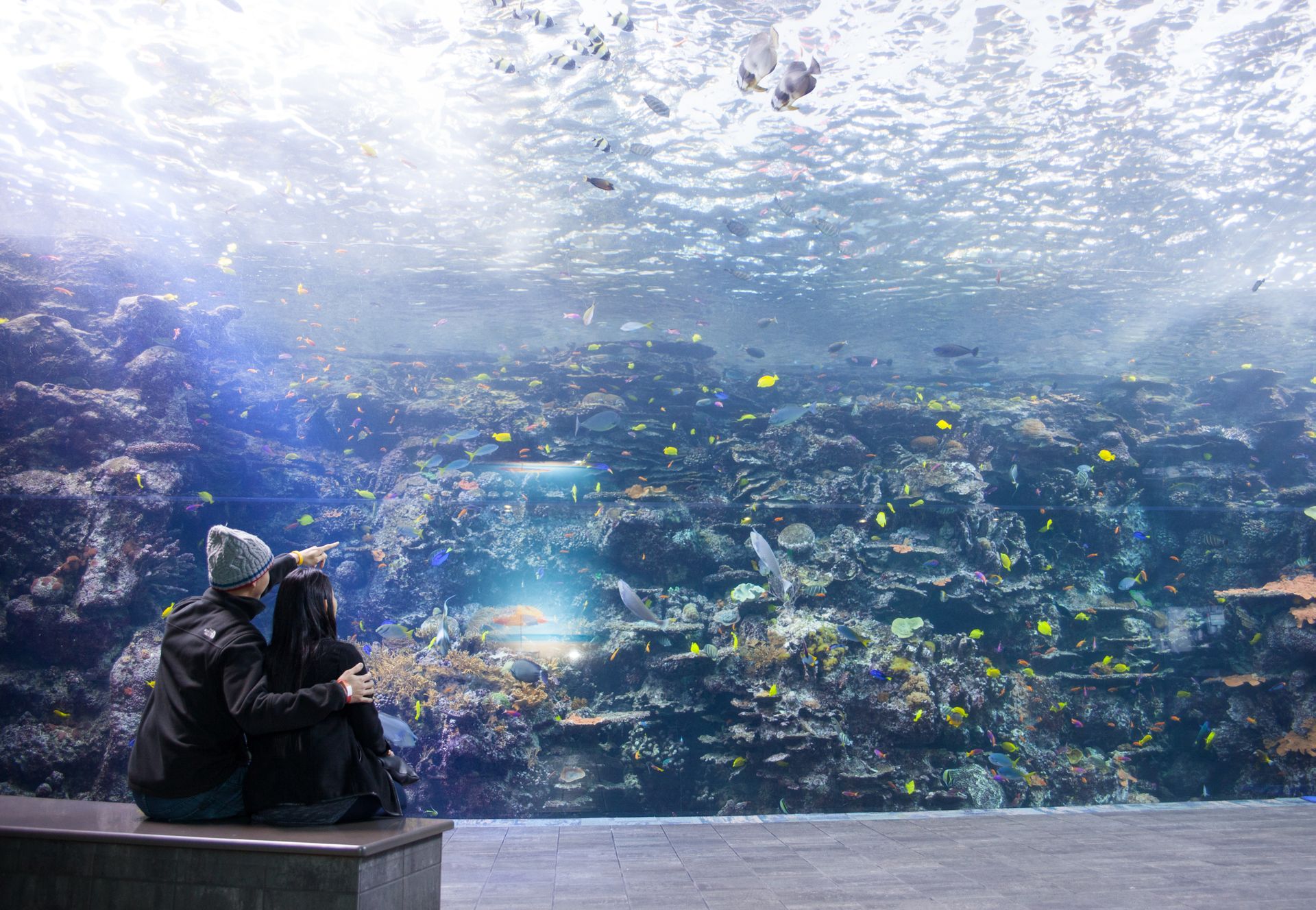 Enjoy An AdultsOnly Nightlife Event at Aquarium's SeaNights