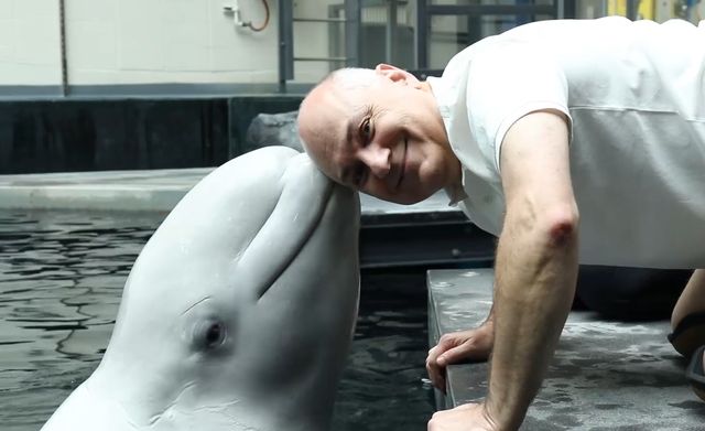 From Babies to Belugas From Babies to Belugas