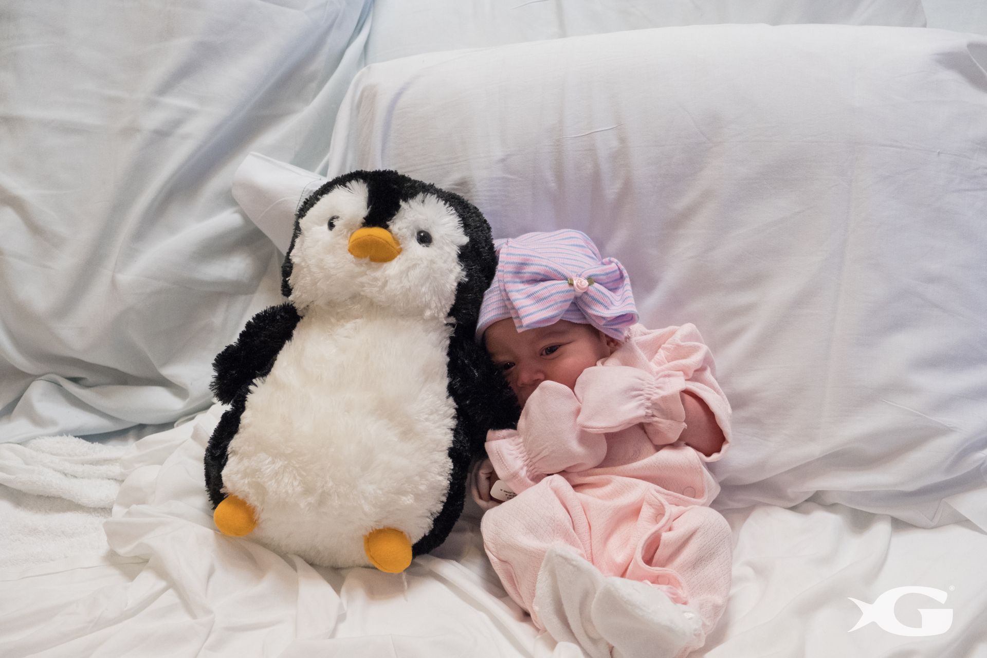 Newborn and Penguin 1