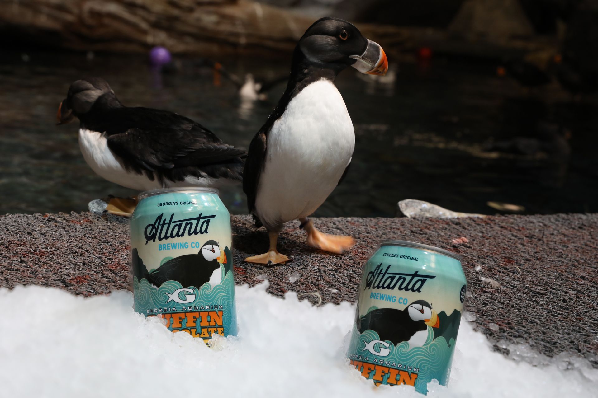 Atlanta Brewing Company and Aquarium Announce Fifth Seasonal