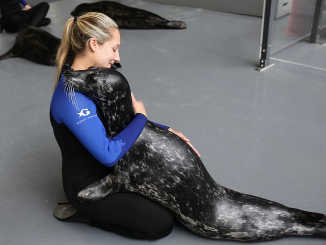 Animal Planet Takes Audiences Behind The Scenes at Georgia Aquarium In All-New Series Animal Planet Takes Audiences Behind The Scenes at Georgia Aquarium In All-New Series