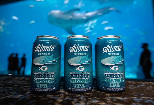 It’s Beer Season…Introducing Whale Shark IPA It’s Beer Season…Introducing Whale Shark IPA