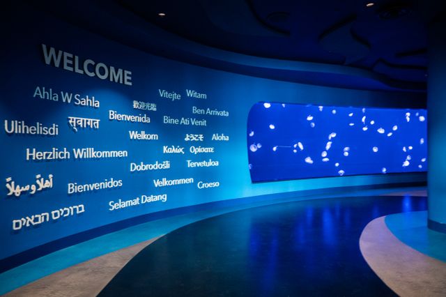 Georgia Aquarium Earns Prestigious STEM Certification Georgia Aquarium Earns Prestigious STEM Certification