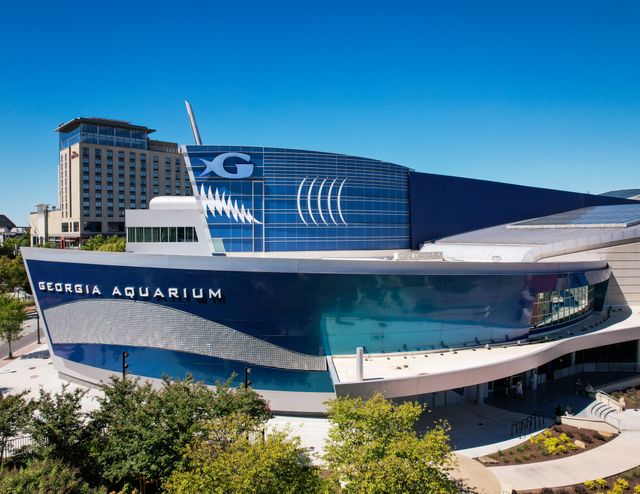Dr. Brian Davis, Georgia Aquarium President and CEO, Sworn-In as New Chair of the Board for Association of Zoos and Aquariums Dr. Brian Davis, Georgia Aquarium President and CEO, Sworn-In as New Chair of the Board for Association of Zoos and Aquariums