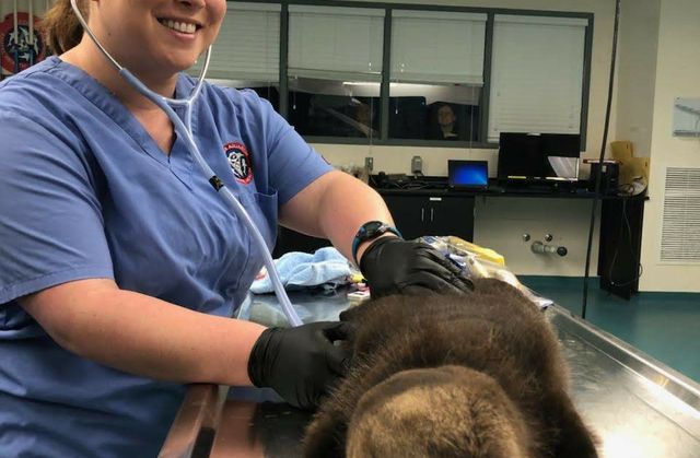 Get to Know Our Vet Techs Get to Know Our Vet Techs