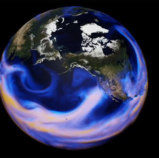 Scientific Digital Twins