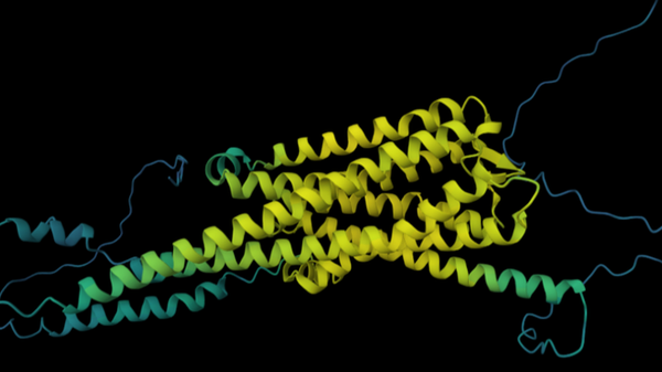 NVIDIA BioNeMo Protein Visualization
