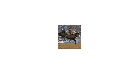 demossStampedewarriorrecordsquare-001
