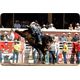 Calgary Stampede Attendance for Wednesday, July 10