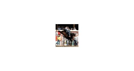 Rodeothumb