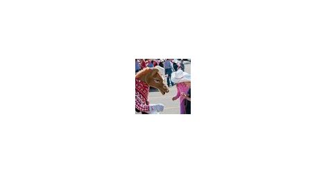 CR-Thumb-00010