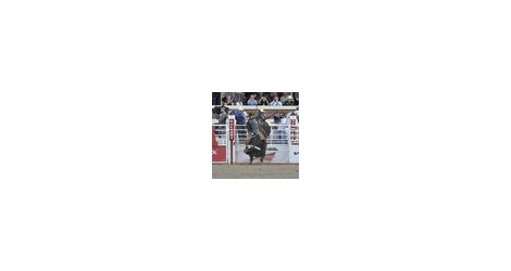 rodeo - thumb