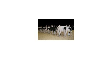 11.03.13 Dairy thumb