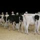 Pull up a stool: Dairy Classic highlights those amazing milkin’ machines