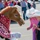  Calgary Stampede community programs