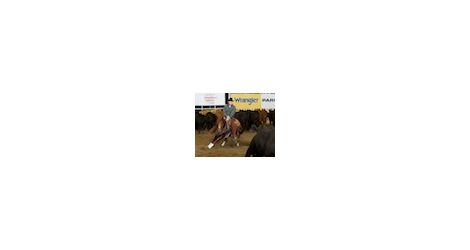 Branch Futurity thumb