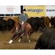 NCHA’s Open Horse of the Year contenders face off at Stampede Futurity