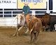 Futurity Jack thumb